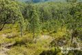 Property photo of 1674 Paddys Flat Road Tabulam NSW 2469
