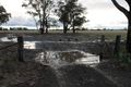 Property photo of 222L Mogriguy Road Eumungerie NSW 2822