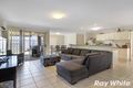 Property photo of 14 Toona Place Calamvale QLD 4116