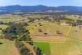 Property photo of 188 Sandy Creek Road Mount Vincent NSW 2323
