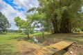 Property photo of 156-162 Seib Road Eumundi QLD 4562