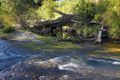 Property photo of 73 Fosterton Road Dungog NSW 2420