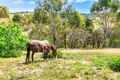 Property photo of 132 Cut Hill Road Kangarilla SA 5157