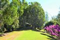 Property photo of 281 Gold Coast Springbrook Road Mudgeeraba QLD 4213