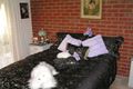 Property photo of 2/24 Hughes Street Tatura VIC 3616