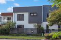 Property photo of 11-13 Bedarra Circuit Maroochydore QLD 4558