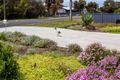 Property photo of 11 Avoca Street Goolwa SA 5214
