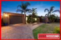 Property photo of 184 Gladesville Boulevard Patterson Lakes VIC 3197