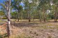 Property photo of 122 Creek Street Jindera NSW 2642