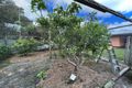 Property photo of 16 Sheoak Street Walpole WA 6398