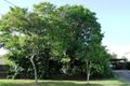 Property photo of 11 Waters Street Waterford West QLD 4133
