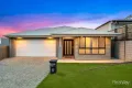 Property photo of 18 Cradle Place Spring Mountain QLD 4300