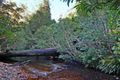 Property photo of D3380 Princes Highway Jerrawangala NSW 2540