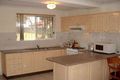 Property photo of 1/84 First Avenue Belfield NSW 2191