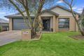Property photo of 8 Jeffrey Street Thornton NSW 2322