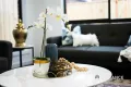 Property photo of 5 Odara Mews Tarneit VIC 3029
