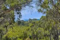 Property photo of 24 Jeanneret Crescent Binalong Bay TAS 7216