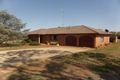 Property photo of 302 Henry Parkes Way Parkes NSW 2870