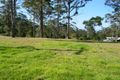 Property photo of 180 Freemans Road Lower Beechmont QLD 4211