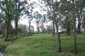 Property photo of 92 Lancebark Road Glenlogan QLD 4280