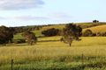 Property photo of 140 Mine Flat Road Strathalbyn SA 5255