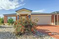 Property photo of 24 Dexter Grove Point Cook VIC 3030