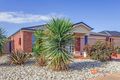 Property photo of 24 Dexter Grove Point Cook VIC 3030