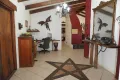 Property photo of 487 Paddys Flat Road Tabulam NSW 2469