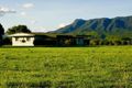 Property photo of 84 Tarakan Road Abergowrie QLD 4850