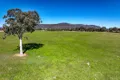 Property photo of 30 Narrango Road Rylstone NSW 2849