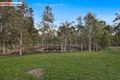 Property photo of 132 Honeyeater Drive Walligan QLD 4655