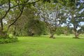 Property photo of 37 Fin Court Elimbah QLD 4516