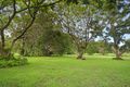 Property photo of 37 Fin Court Elimbah QLD 4516