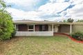 Property photo of 43 Hamilton Avenue Warradale SA 5046