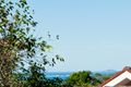 Property photo of 6 Tareebin Road Nelson Bay NSW 2315