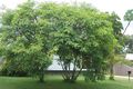 Property photo of 7 Jukes Street Slade Point QLD 4740