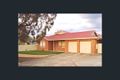 Property photo of 49 Cashel Street Pasadena SA 5042