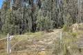 Property photo of 307 Blomfield Road Yarrowitch NSW 2354