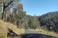 Property photo of 307 Blomfield Road Yarrowitch NSW 2354