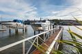 Property photo of 22 Leura Terrace Hawthorne QLD 4171