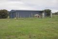 Property photo of 34-40 Richardson Road Boston SA 5607