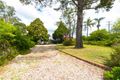 Property photo of 7 Chapman Parade Faulconbridge NSW 2776