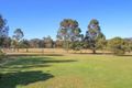 Property photo of 30 Mountain View Road Wattle Ponds NSW 2330