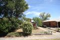 Property photo of 7 Downer Street Plympton Park SA 5038