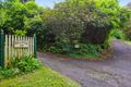 Property photo of 115 Woods Point Road Warburton VIC 3799