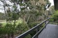 Property photo of 12 Morton Street Box Hill South VIC 3128