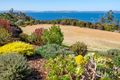 Property photo of 269 Tinderbox Road Tinderbox TAS 7054