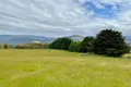 Property photo of 29371 Tasman Highway Weldborough TAS 7264