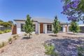 Property photo of 1 Bishop Avenue Somerton Park SA 5044