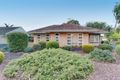 Property photo of 29 Manse Terrace Pasadena SA 5042